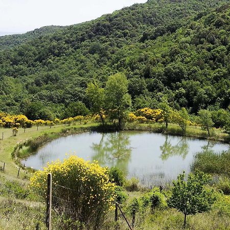 La Grotta Dell'Eremita 220S Hotel Gambassi Terme Eksteriør billede